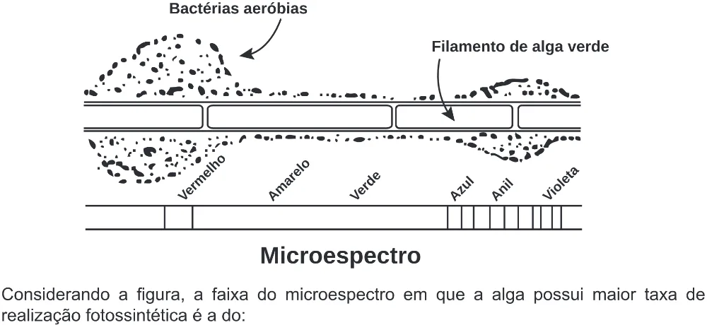 Trecho original com figura, tabela ou fórmula da questão 107 do ENEM 2020 - 2º Dia - Caderno 8 – Rosa (Ampliada) – Aplicação Regular.
