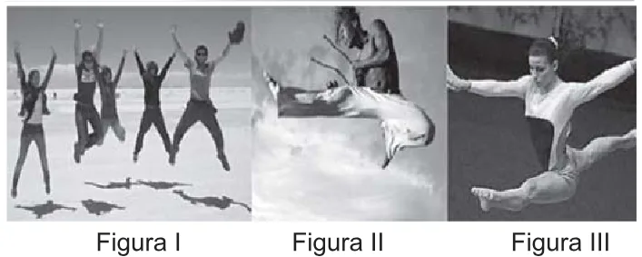 Trecho original com figura, tabela ou fórmula da questão 96 do ENEM 2010 - 2º Dia – Caderno 6 – Cinza – Reaplicação/PPL.