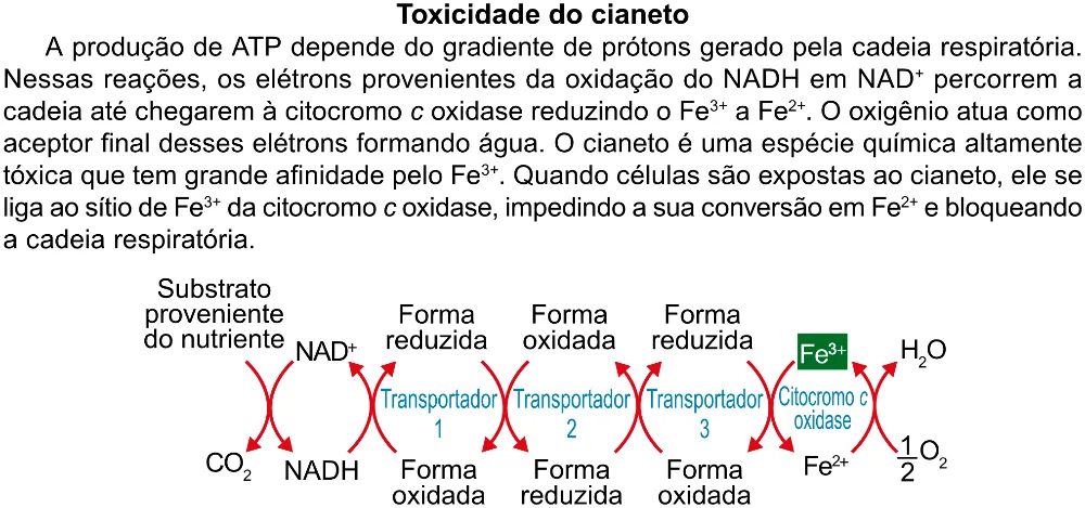 Trecho original com figura, tabela ou fórmula da questão 101 do ENEM 2023 - 2º Dia – Caderno 12 – Verde (Libras) – Aplicação Regular - (Ampliada).