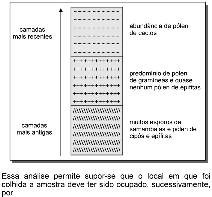 Trecho original com figura, tabela ou fórmula da questão 36 do ENEM 2006 - Caderno Amarelo.