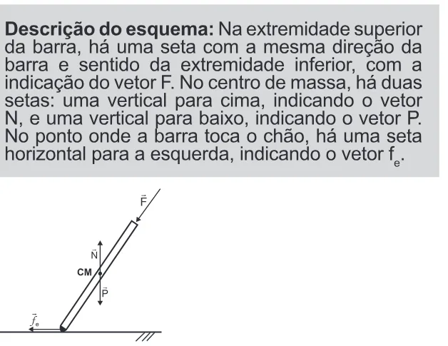 Alternativa D da questão 123 do ENEM 2022 - 2º Dia – Caderno 11 – Laranja (braile e ledor) – Aplicação Regular.