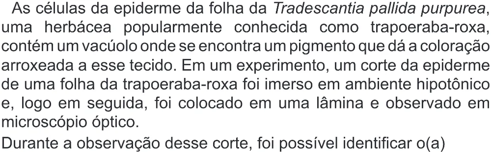 Trecho original com figura, tabela ou fórmula da questão 113 do ENEM 2022 - 2º Dia – Caderno 6 – Cinza (Superampliada) – Aplicação Regular.