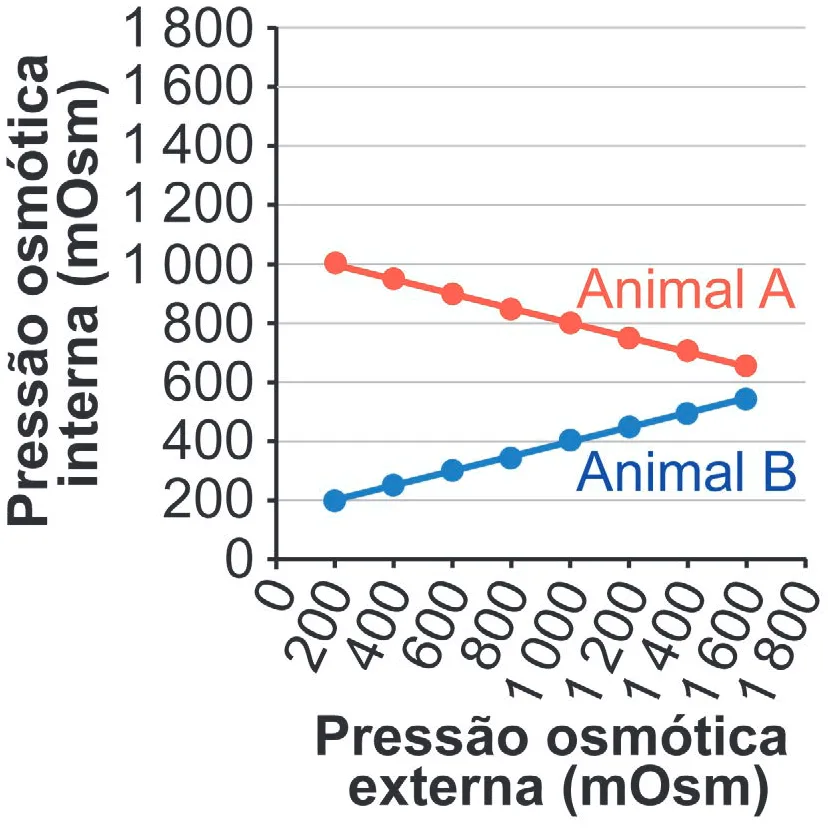 Gráfico da alternativa D da questão 105 do ENEM 2024.