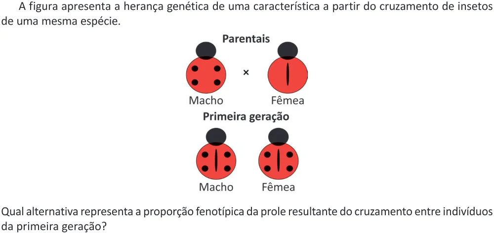 Trecho original com figura, tabela ou fórmula da questão 101 do ENEM 2025 - 2º Dia – Caderno 12 – Roxo (Libras) – Aplicação Regular - (Ampliada).