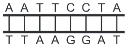 Alternativa C da questão 132 do ENEM 2017 - 2º Dia - Caderno 5 - Amarelo – Aplicação regular.