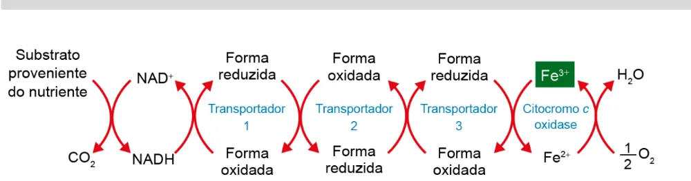 Trecho original com figura, tabela ou fórmula da questão 101 do ENEM 2023 - 2º Dia – Caderno 11 – Laranja (braile e ledor) – Aplicação Regular - Caderno 11 – Laranja – Leitor de tela (NVDA) - Ciências da Natureza e suas Tecnologias.