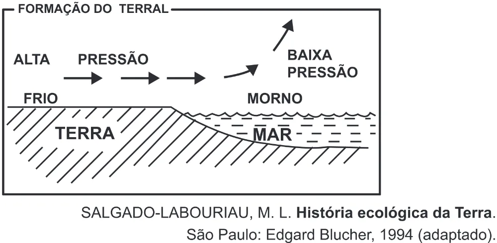 Trecho original com figura, tabela ou fórmula da questão 77 do ENEM 2017 - 1º Dia - Caderno 1 - Azul (Superampliada) – Aplicação regular.