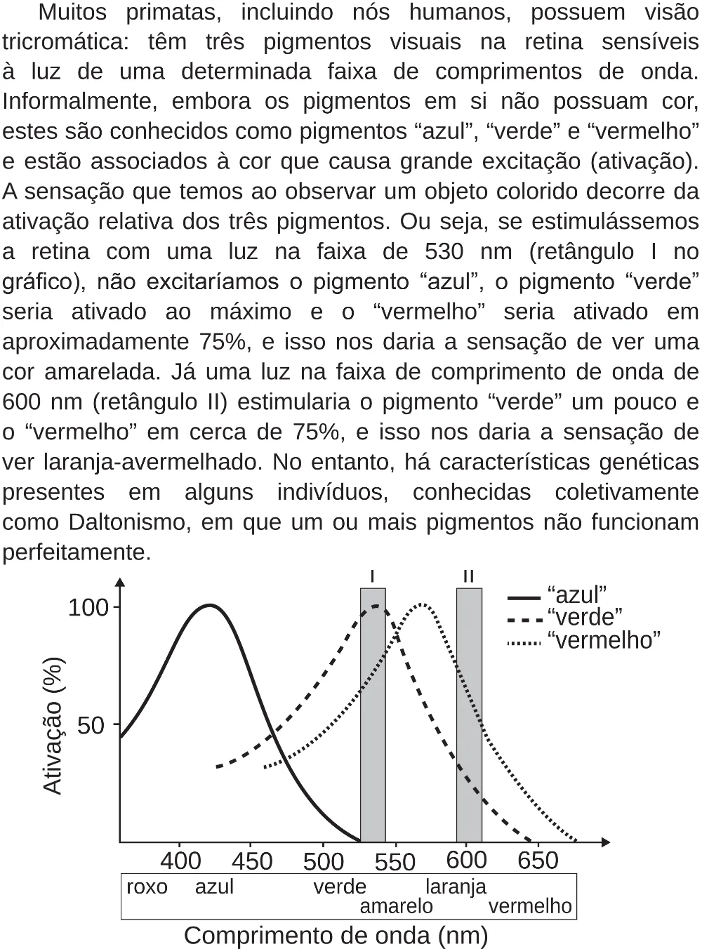Trecho original com figura, tabela ou fórmula da questão 96 do ENEM 2018 - 2º Dia - Caderno 5 – Amarelo (Superampliada) – Aplicação regular.