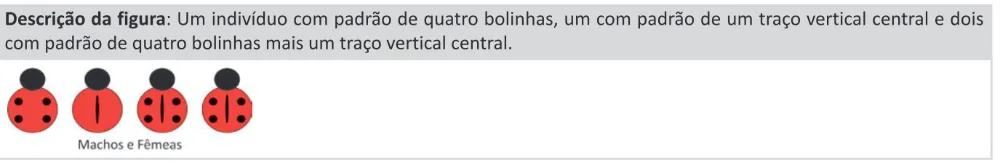 Alternativa E da questão 101 do ENEM 2025 - 2º Dia – Caderno 11 – Laranja (Braile e ledor) – Aplicação Regular - (Ledor).