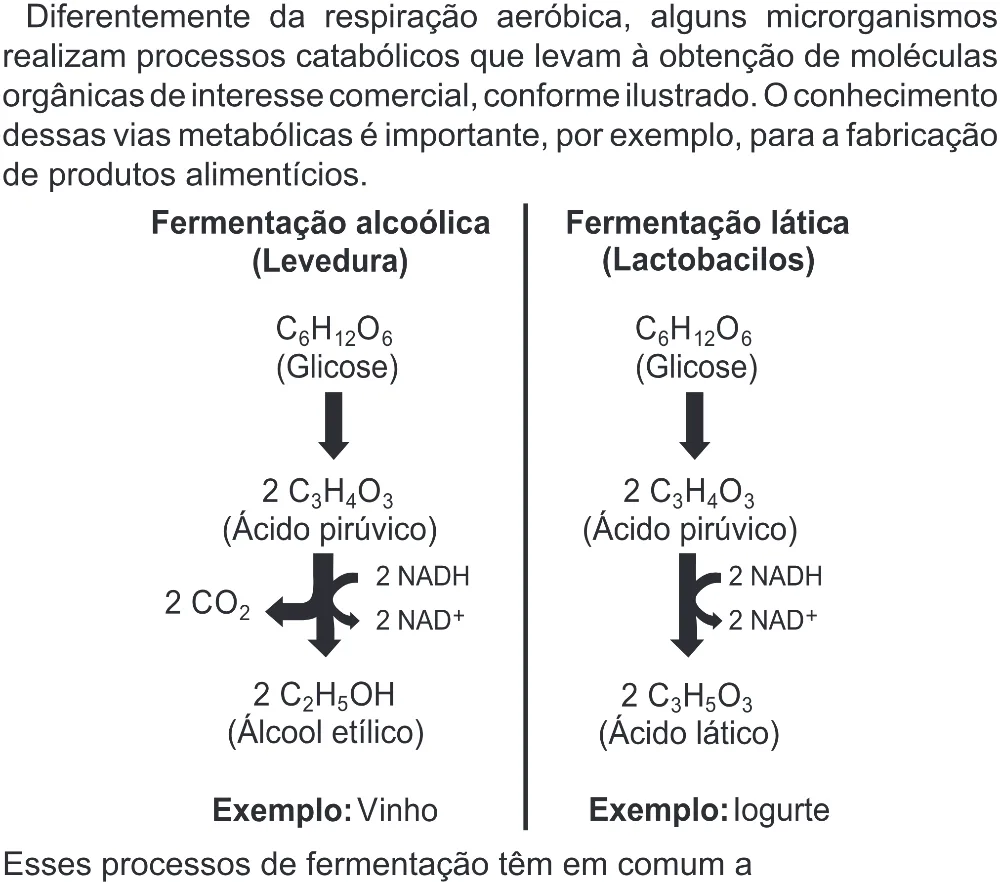 Trecho original com figura, tabela ou fórmula da questão 106 do ENEM 2022 - 2º Dia – Caderno 6 – Cinza (Superampliada) – Reaplicação/PPL.