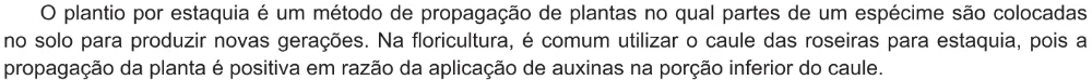 Trecho original com figura, tabela ou fórmula da questão 123 do ENEM 2021 - 2º Dia – Caderno 7 – Azul – Aplicação Regular.