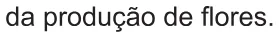 Alternativa A da questão 91 do ENEM 2021 - 2º Dia – Caderno 6 – Cinza – Aplicação Regular.