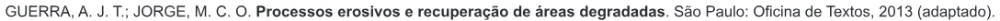Trecho original com figura, tabela ou fórmula da questão 68 do ENEM 2017 - 1º Dia - Caderno 3 - Branco – Reaplicação/PPL.