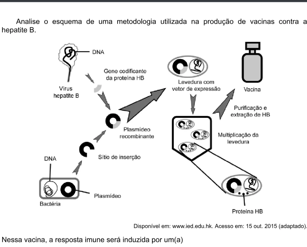 Trecho original com figura, tabela ou fórmula da questão 94 do ENEM 2020 - 2º Dia - Caderno 5 – Amarelo – Aplicação digital.
