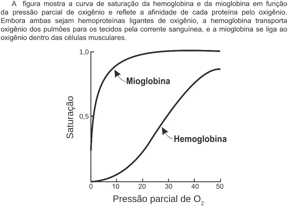Trecho original com figura, tabela ou fórmula da questão 114 do ENEM 2019 - 2º Dia – Caderno 5 – Amarelo (Ampliada) – Reaplicação/PPL.