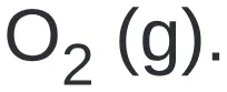 Alternativa B da questão 125 do ENEM 2019 - 2º Dia – Caderno 6 – Cinza (Superampliada) – Aplicação Regular.