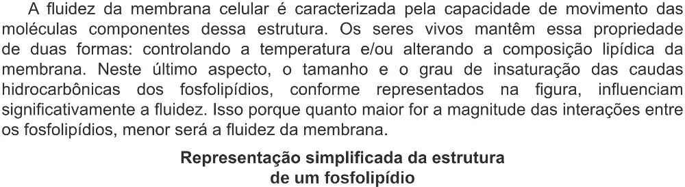 Trecho original com figura, tabela ou fórmula da questão 123 do ENEM 2019 - 2º Dia – Caderno 6 – Cinza (Ampliada) – Aplicação Regular.