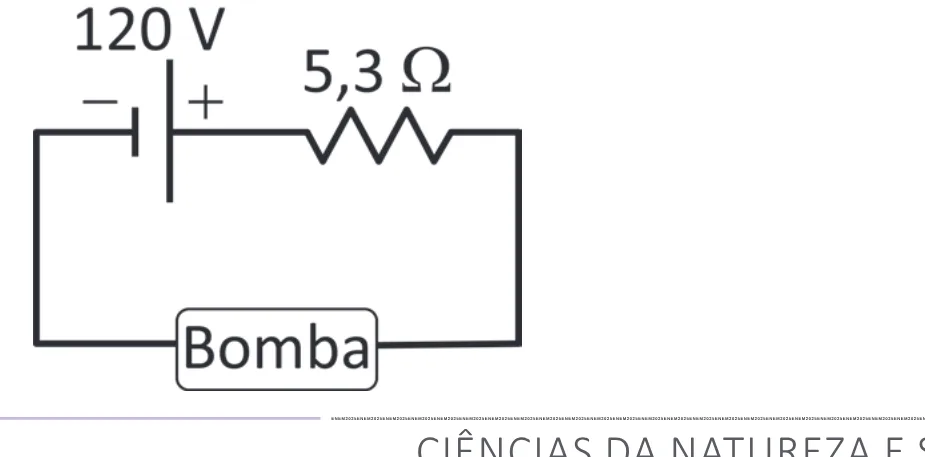 Alternativa C da questão 125 do ENEM 2025 - 2º Dia – Caderno 12 – Roxo (Libras) – Aplicação Regular - (Superampliada).