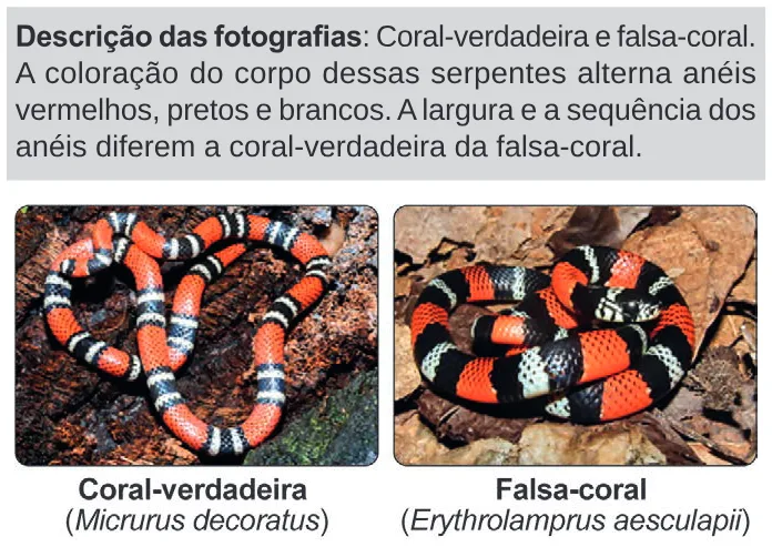 Trecho original com figura, tabela ou fórmula da questão 91 do ENEM 2024 - 2º Dia – Caderno 11 – Laranja (braile e ledor) – Aplicação Regular.