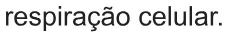 Alternativa E da questão 100 do ENEM 2017 - 2º Dia - Caderno 5 - Amarelo – Reaplicação/PPL.