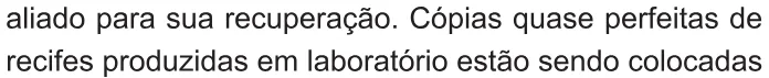 Trecho original com figura, tabela ou fórmula da questão 135 do ENEM 2021 - 2º Dia – Caderno 7 – Azul – Reaplicação/PPL/Segunda Oportunidade.