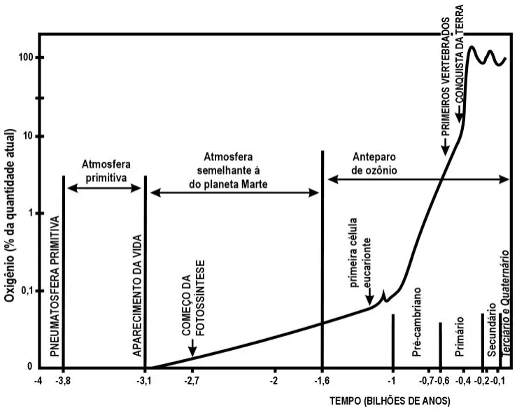 Trecho original com figura, tabela ou fórmula da questão 27 do ENEM 2000 - Caderno Amarelo.