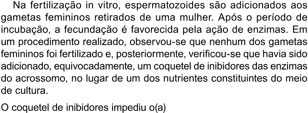 Trecho original com figura, tabela ou fórmula da questão 118 do ENEM 2023 - 2º Dia – Caderno 8 – Rosa – Aplicação Regular - (Superampliada).