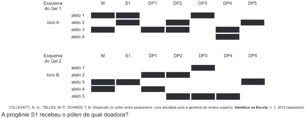 Trecho original com figura, tabela ou fórmula da questão 127 do ENEM 2018 - 2º Dia - Caderno 7 - Azul – Aplicação regular.