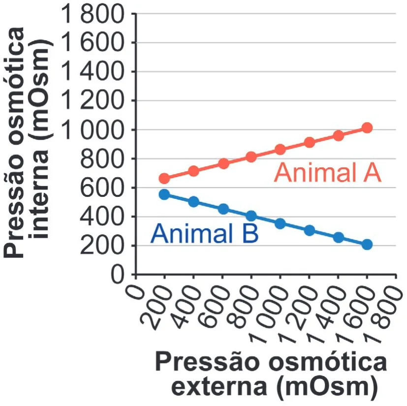 Gráfico da alternativa E da questão 105 do ENEM 2024.