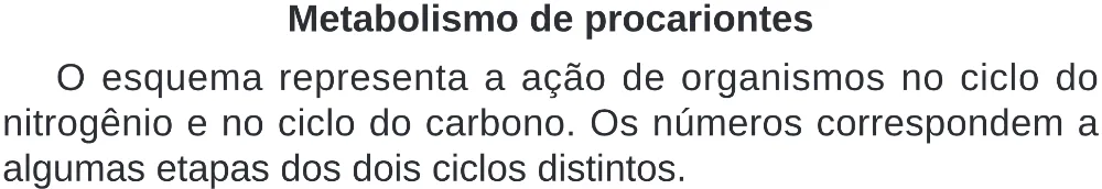 Trecho original com figura, tabela ou fórmula da questão 103 do ENEM 2024 - 2º Dia – Caderno 8 – Verde – Aplicação Regular - (Superampliada).