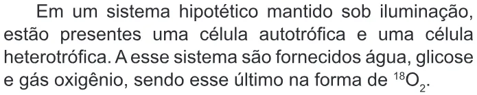 Trecho original com figura, tabela ou fórmula da questão 94 do ENEM 2022 - 2º Dia – Caderno 5 – Amarelo – Reaplicação/PPL.