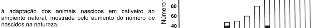 Alternativa A da questão 46 do ENEM 2004 - Caderno Amarelo.