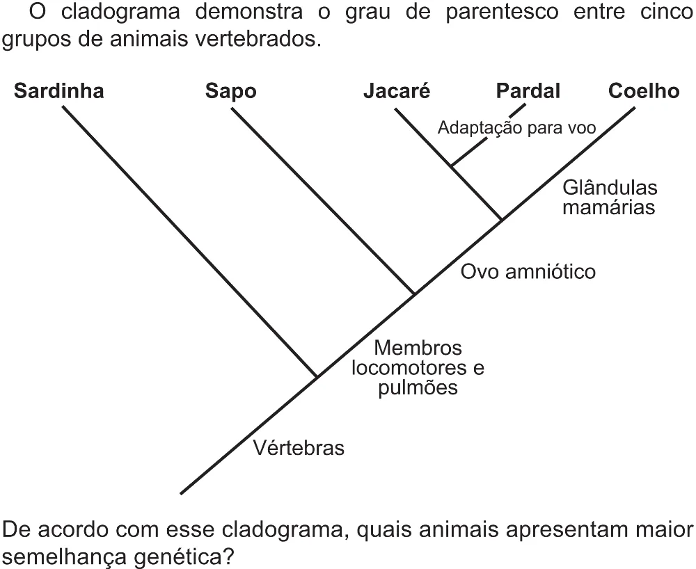 Trecho original com figura, tabela ou fórmula da questão 110 do ENEM 2021 - 2º Dia – Caderno 5 – Amarelo (Superampliada) – Reaplicação/PPL/Segunda Oportunidade.