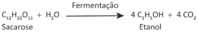 Trecho original com figura, tabela ou fórmula da questão 113 do ENEM 2025 - 2º Dia – Caderno 6 – Cinza – Reaplicação.