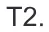 Alternativa B da questão 176 do ENEM 2018 - 2º Dia - Caderno 7 - Azul – Aplicação regular.