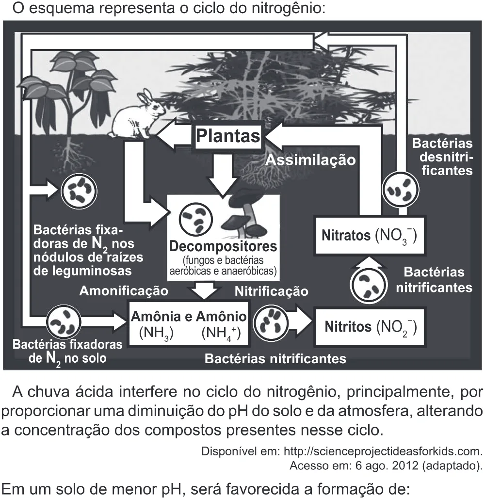 Trecho original com figura, tabela ou fórmula da questão 99 do ENEM 2022 - 2º Dia – Caderno 6 – Cinza (Superampliada) – Aplicação Regular.