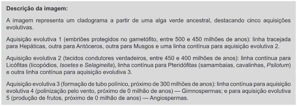 Trecho original com figura, tabela ou fórmula da questão 99 do ENEM 2019 - 2º Dia – Caderno 11 – Laranja (Braile e Ledor) – Aplicação Regular.