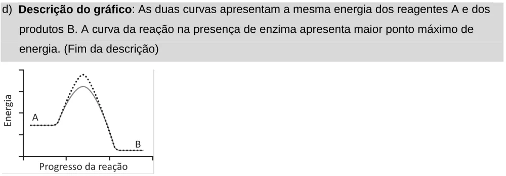 Alternativa D da questão 133 do ENEM 2025 - 2º Dia – Caderno 11 – Laranja (Braile e ledor) – Aplicação Regular - Leitor de tela (NVDA).