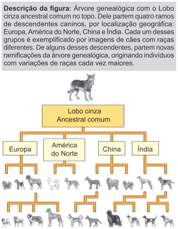 Trecho original com figura, tabela ou fórmula da questão 118 do ENEM 2024 - 2º Dia – Caderno 11 – Laranja (braile e ledor) – Reaplicação/PPL.