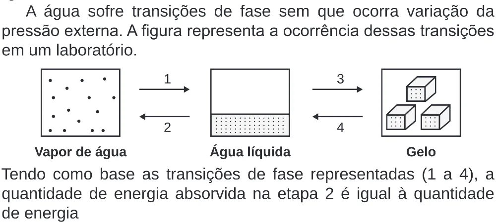 Trecho original com figura, tabela ou fórmula da questão 117 do ENEM 2020 - 2º Dia – Caderno 8 – Rosa (Superampliada) – Reaplicação/PPL.