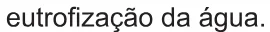 Alternativa C da questão 50 do ENEM 2017 - 1º Dia - Caderno 2 - Amarelo – Aplicação regular.