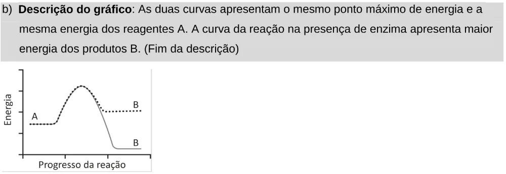Alternativa B da questão 133 do ENEM 2025 - 2º Dia – Caderno 11 – Laranja (Braile e ledor) – Aplicação Regular - Leitor de tela (NVDA).