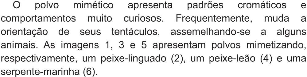 Trecho original com figura, tabela ou fórmula da questão 135 do ENEM 2021 - 2º Dia – Caderno 5 – Amarelo (Superampliada) – Aplicação Regular.