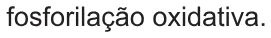 Alternativa E da questão 118 do ENEM 2021 - 2º Dia – Caderno 5 – Amarelo – Aplicação Regular.