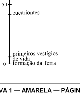Alternativa C da questão 10 do ENEM 2006 - Caderno Amarelo.