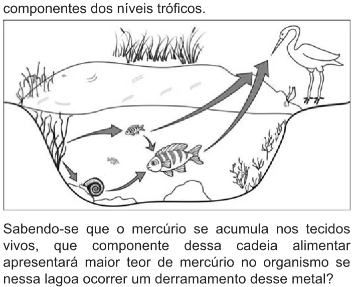Trecho original com figura, tabela ou fórmula da questão 66 do ENEM 2010 - 1º Dia – Caderno 3 – Branco – Reaplicação/PPL.