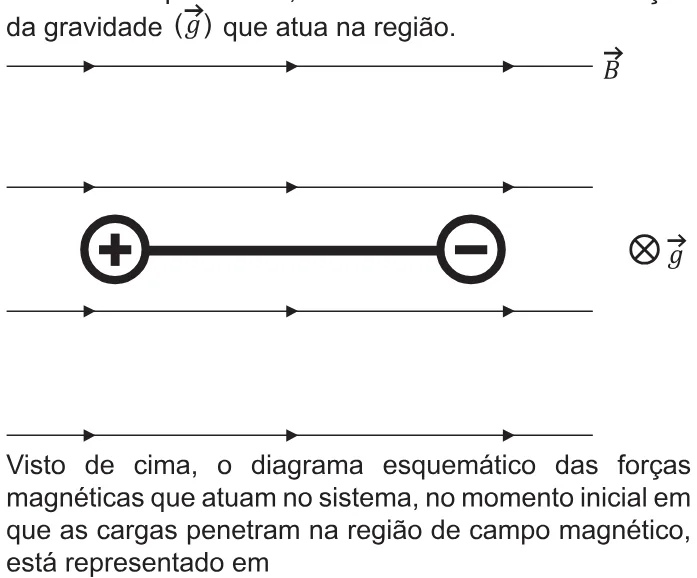 Trecho original com figura, tabela ou fórmula da questão 134 do ENEM 2021 - 2º Dia – Caderno 8 – Rosa – Aplicação Regular.