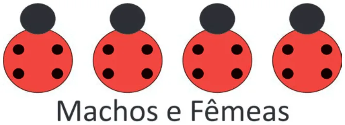 Alternativa A da questão 101 do ENEM 2025 - 2º Dia – Caderno 11 – Laranja (Braile e ledor) – Aplicação Regular - (Superampliada).