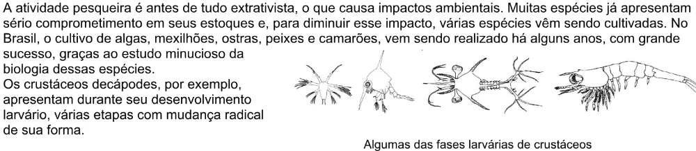 Trecho original com figura, tabela ou fórmula da questão 43 do ENEM 2005 - Caderno Amarelo.