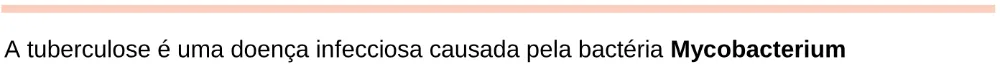 Trecho original com figura, tabela ou fórmula da questão 115 do ENEM 2024 - 2º Dia – Caderno 11 – Laranja (braile e ledor) – Aplicação Regular - Leitor de tela (NVDA).